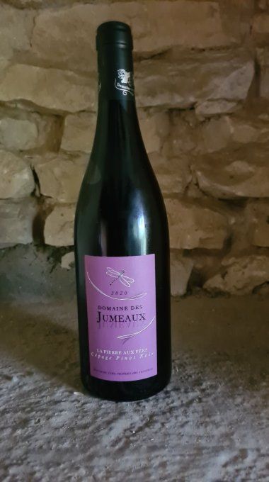 La Pierre aux Fées 2020 - Domaine des Jumeaux - Jean-Marc Tard