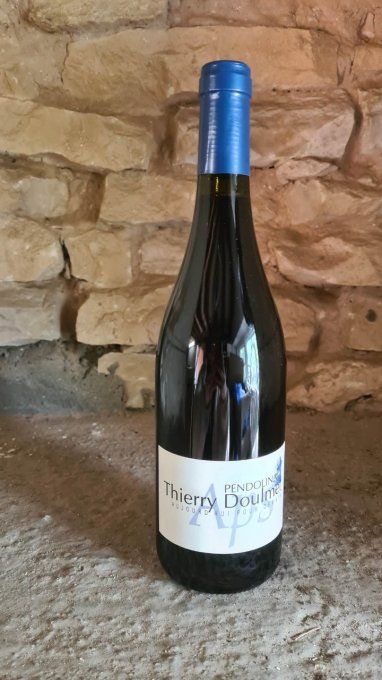 PENDOLINA - Domaine du Fils D'Eole -Thierry Doulmet -