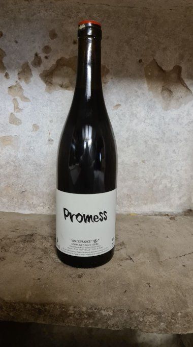 Promess - 2018 - Domaine Sauveterre - Jérôme Guichard 